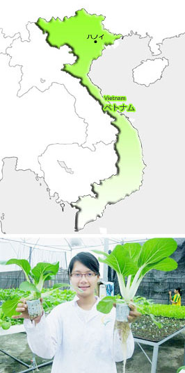 なぜベトナム